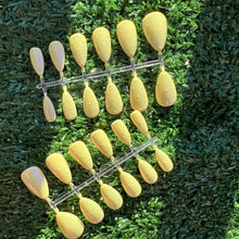  Bb Yellow Chrome Polka