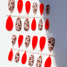  Def Leopard